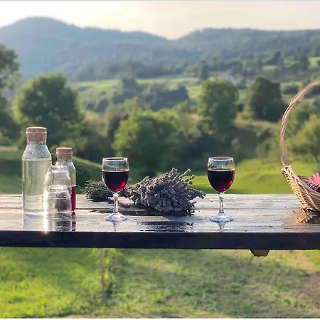 Lovely In Nature With Sauna *