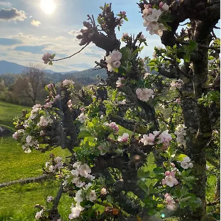 Lovely In Nature With Sauna Διαμέρισμα