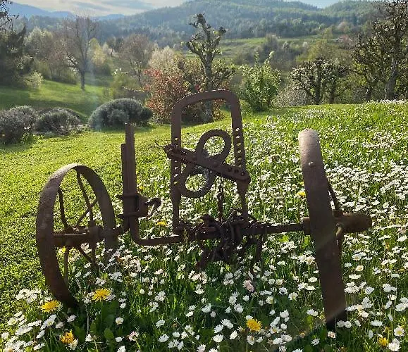 Lovely In Nature With Sauna Appartamento *