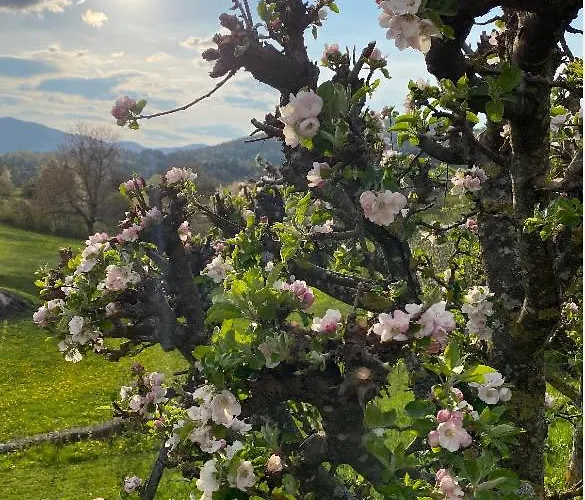 Lovely In Nature With Sauna Lägenhet