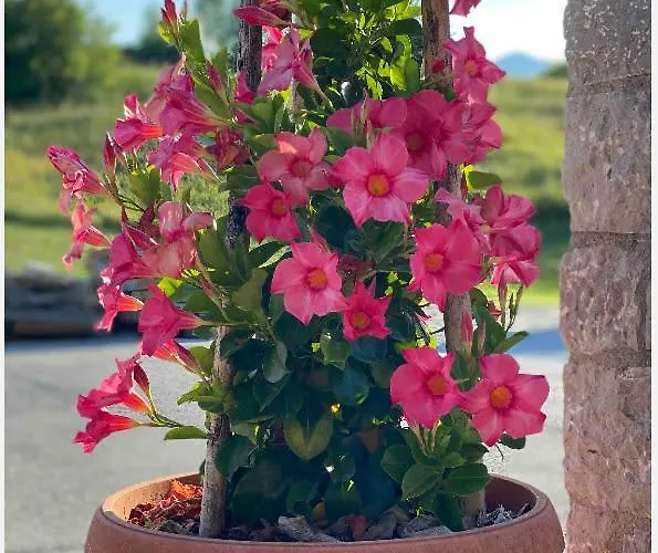 Lovely In Nature With Sauna Postumia